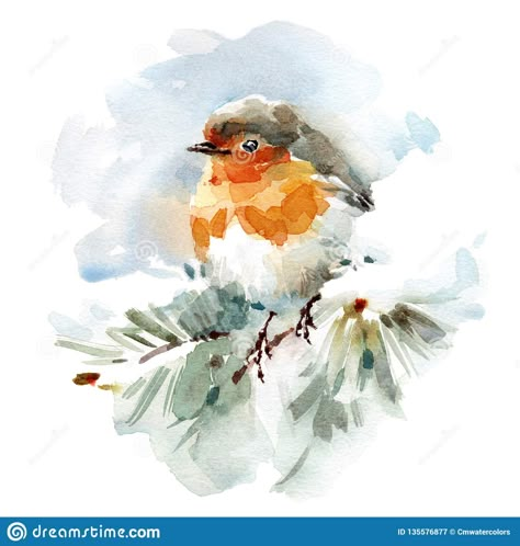 Sennelier Watercolor, Painted Christmas Cards, Bird Watercolor Paintings, Illustration Noel, Winter Watercolor, Winter Illustration, Christmas Card Art, Watercolor Christmas Cards, Watercolor Paintings Easy