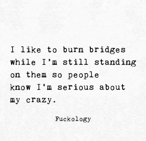 Burn Bridges, Badass Quotes, Still Standing, Sarcastic Quotes, My Story, Poetry Quotes, A Mother, Memes Quotes, True Quotes