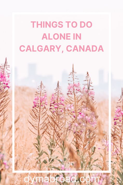 There are a lot of amazing things to do alone in Calgary. So if you're wondering if solo travel in Calgary is nice, it definitely is! #calgary #thingstodoalone #soloactivities #solotravel #canada Moving To Calgary, Calgary Aesthetic, Travel Ads, Calgary Canada, Island Park, Things To Do Alone, Travel Spots, Go Hiking, Banff National Park