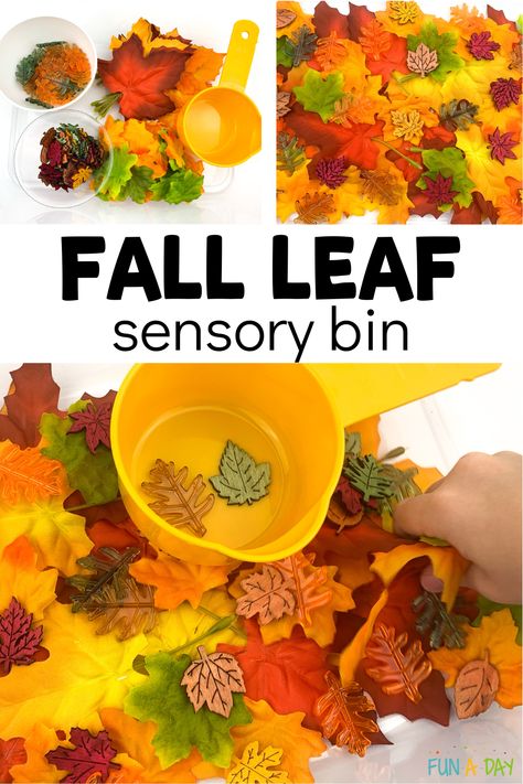 Leaves Sensory Bin Preschool, Fall Sensory Table Ideas, Leaves Sensory Bin, Leaf Sensory Bin, Leaves Sensory, Leaf Lesson Plans, Fall Activities For Preschool, Random Activities, Leaf Lessons