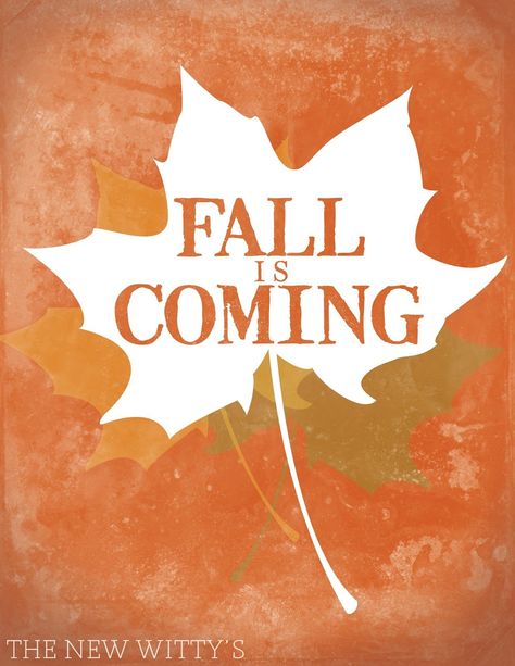 Fall Is Coming autumn fall autumn pictures autumn quotes fall quotes fall is coming fall pictures fall images autumn images Workplace Motivation, Game Of Thrones Winter, Ber Months, Fall Images, Game Of Thrones Funny, Fall Is Coming, Autumn Scenes, Autumn Quotes, Fall Pictures