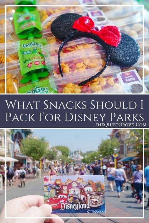 Snacks To Pack For Disneyland, Disney Snacks Diy, Disneyland Snacks, Disney Hacks, Disney Trip Surprise, Disney World Packing, Disney Surprise, Disney 2023, Disney Tickets