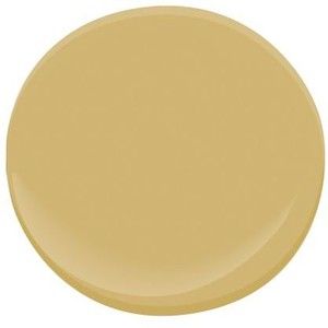 Benjamin Moore Paint: Princeton Gold - great front door color! Dining Library, Gold Paint Colors, Colorful Walls, Dining Room Paint, Paint Color Inspiration, Painters Palette, Benjamin Moore Colors, Benjamin Moore Paint, Gold Kitchen