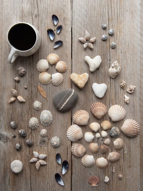 beachcombing and coffee #flatlay #collections #beachcombing Flatlay Ideas Creative, Nature Flatlay, Jewllery Ideas, Flatlay Ideas, Bookstagram Ideas, Coffee Flatlay, Flatlay Photography, Everyday Magic, Open Days