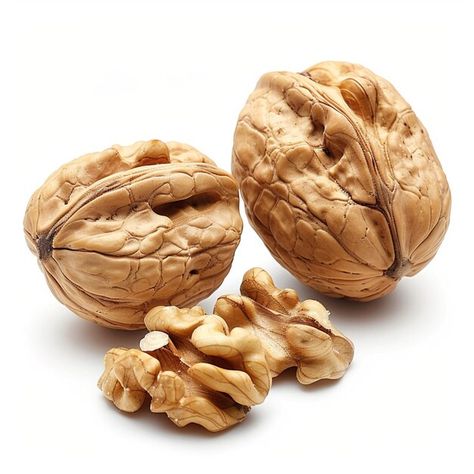 Photo closeup photo of walnuts on a whit... | Premium Photo #Freepik #photo Reference Photos Items, Walnut Aesthetic, Walnut Cream, Golden Door, English Walnut, Closeup Photo, Sister Dolls, Walnut Tree, Cute Canvas