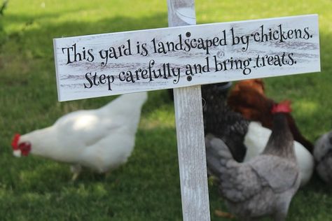 Garden Sticks, Coop Signs, Coop Decor, Chickens Farm, Chicken Raising, Chicken Houses, Backyard Ducks, Chicken Coop Decor, Chicken Coop Signs