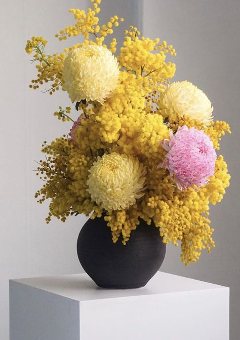 Clip Fan, Flower Studio, Flower Therapy, March 5, Yellow And Pink, Arte Floral, Plant Design, Ikebana, Cut Flowers