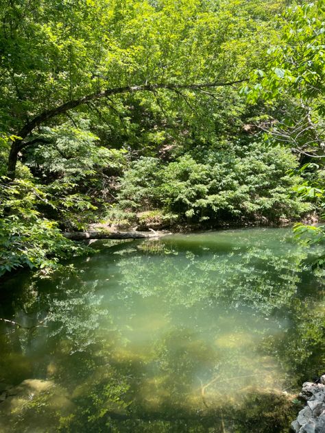 lake, aesthetic pond, green, green aesthetic, aesthetic pond, forest, trees Green Aesthetic Nature Pics, Peaceful Lake Aesthetic, Forest Pool Aesthetic, Forest Pond Aesthetic, Pond In The Woods, Forest Clearing Aesthetic, Lush Forest Aesthetic, Green Pond Aesthetic, Ponds Aesthetic