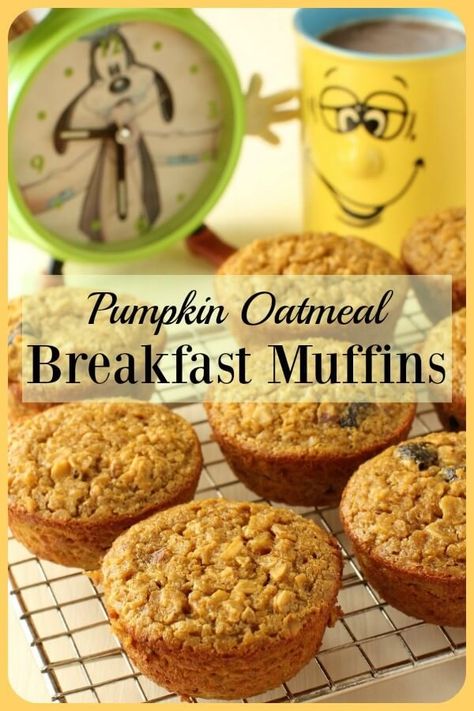 Pumpkin Oatmeal Muffins Gluten Free, Pumpkin Oatmeal Muffins Healthy, Pumpkin Muffins Oatmeal, Oatmeal Pumpkin Muffins, Gluten Free Oatmeal Muffins, Pumpkin Breakfast Muffins, Healthy Pumpkin Oatmeal Muffins, Gluten Free Breakfast Muffins, Pumpkin Oat Muffins