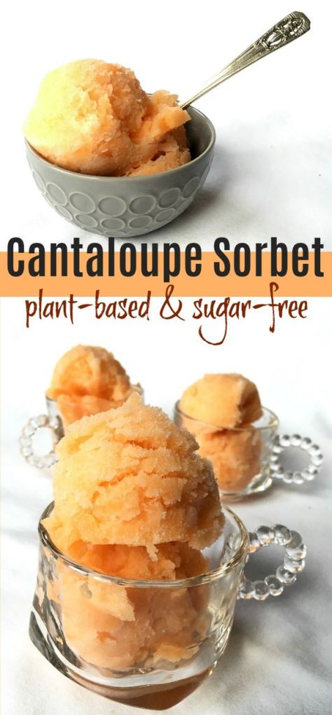 Plant-Based Cantaloupe Sherbet - Dairy-Free - Wholly Plants Fresh Cantaloupe Recipes, Preserving Cantaloupe, Garden Preservation, Freeze Fruit, Cantaloupe Recipes, Blender Ideas, Melon Recipes, Easy Foods, Healthy Plant Based Recipes