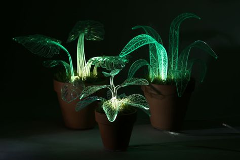 I Make Evergreen Plants That Glow In The Dark | Bored Panda Pot Lights, Moon Garden, Evergreen Plants, Plant Aesthetic, Plant Lighting, Room With Plants, Garden Spaces, Tropical Flowers, Led Lampe