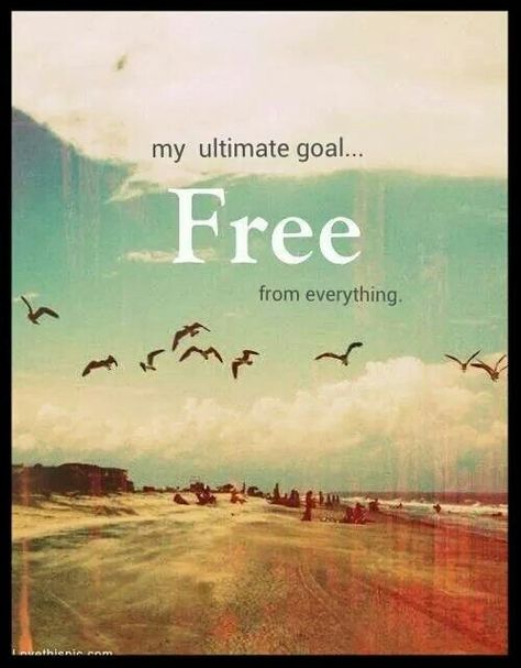 Free from everything. Life Quotes Love, Free Spirit, Beautiful Words, Namaste, Favorite Quotes, The Sky, Quotes To Live By, Words Of Wisdom, We Heart It