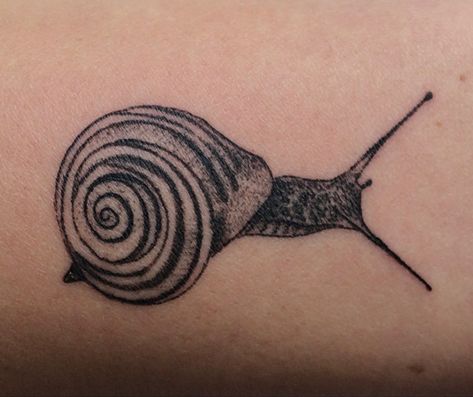 snail tattoo small realistic minimal Sea Snail Tattoo, Snail Shell Tattoo, Tiny Snail Tattoo, Snail Tattoo Simple, Sea Slug Tattoo, Snail Tattoos, Ammonite Tattoo, Snail Tattoo, 2024 Tattoo