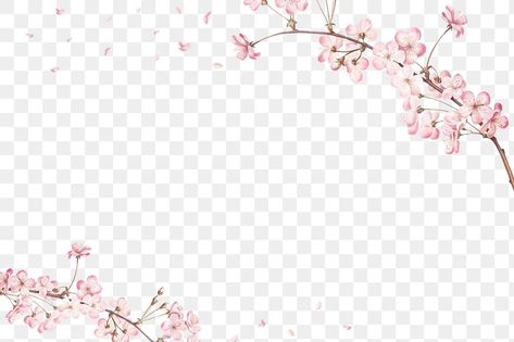 Flower Frame Png, Cherry Blossom Flower, Pink Cherry Blossom, Free Overlays, Cherry Blossom Branch, Transparent Flowers, Border Frame, Sakura Flower, Frame Card