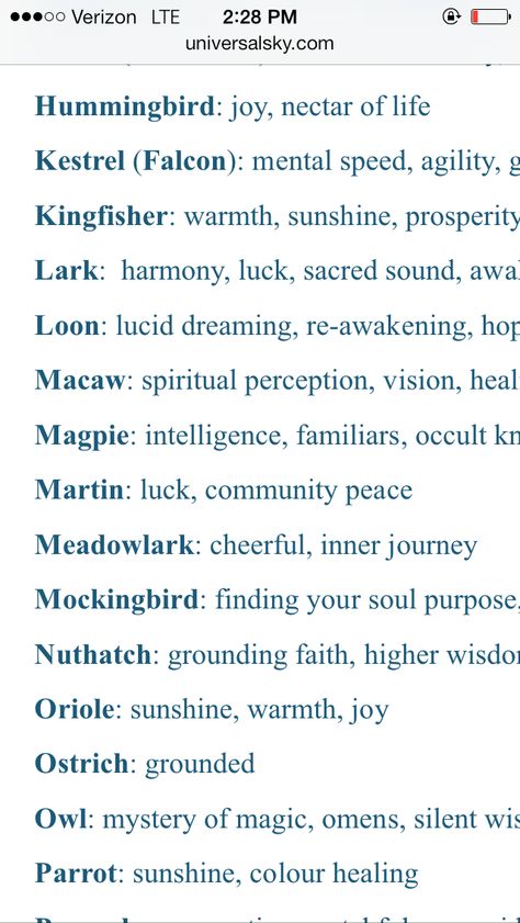 Birds With Meaning, Different Birds And Their Meanings, Grackle Bird Spiritual Meaning, Mockingbird Spiritual Meaning, Mockingbird Tattoo Meaning, Falcon Spiritual Meaning, Bird Meanings Symbols, Birds And Their Meanings, Mockingbird Meaning