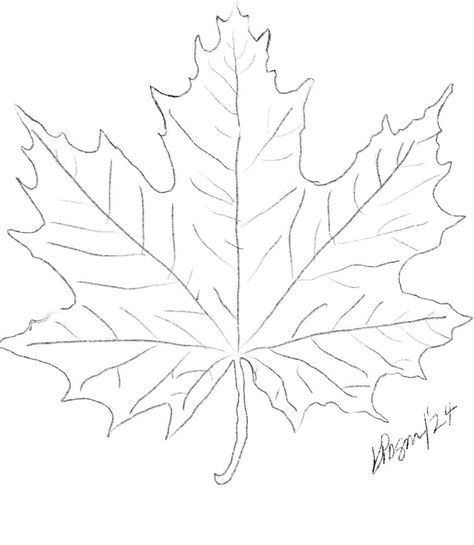 Using my line drawing, create your own beautiful version of this maple leaf in the art medium of your choice. My original artwork was done in watercolour. Capture the colours of autumn for all year round. Autumn Leaves Line Drawing, Drawing A Leaf, Autumn Silhouette Art, Fall Leaf Line Art, How To Draw A Maple Leaf, Leaves Drawing Sketches, Oak Leaves Drawing, Christmas Line Drawings, Autumn Leaf Drawing