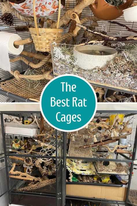 Rat Cage Ideas Diy How To Make, Cool Rat Cages, Pet Rat Cages Aesthetic, Pet Rat Cage Setup, Pet Rat Enclosures, Rat Cage Inspiration, Fancy Rat Cage, Rat Cages Ideas, Rat Enclosure Ideas