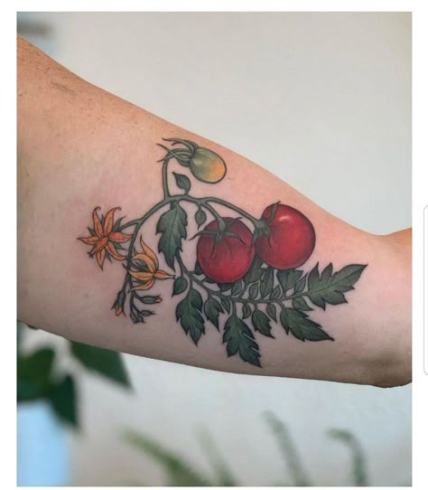 Tomato Tattoo, Vegetable Tattoo, Fruit Tattoo, Tomato Vine, Garden Tattoos, Food Tattoos, Tattoo Prices, Vine Tattoos, Plant Tattoo