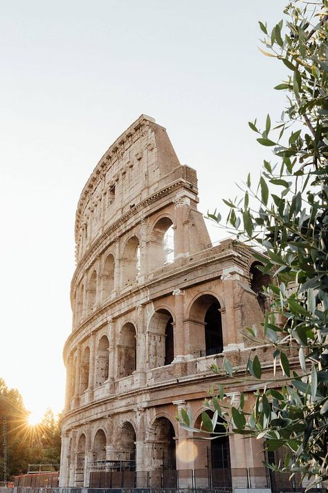 Colleseum Rome, Ancient Rome Aesthetic, Rome Italy Aesthetic, Rome Italy Photography, Malta Italy, 7 World Wonders, Rome Italy Colosseum, Rome Photography, Italy Vibes