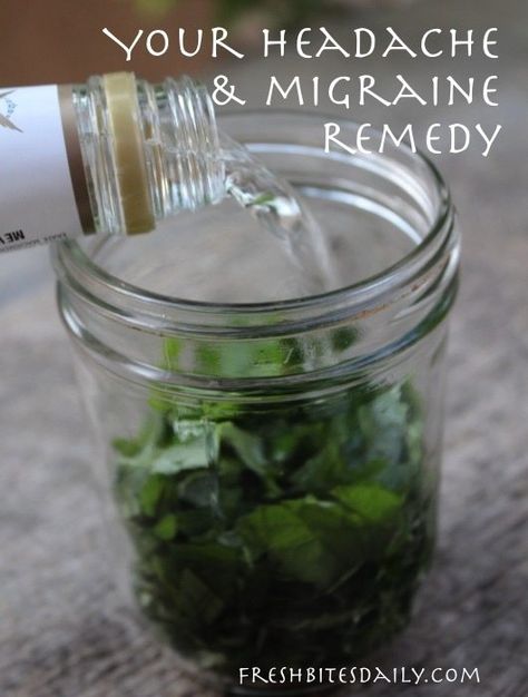 Your New Headache Remedy: A Simple Herbal Tincture (for Migraines too!) – Fresh Bites Daily Natural Headache, Natural Headache Remedies, Herbal Tinctures, Natural Healing Remedies, Diy Remedies, Headache Relief, Migraine Headaches, Natural Therapy, Natural Diy