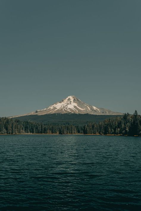 Beautiful landscape with lake, forest and mountain Trillium Lake, Video Nature, Mountain Wallpaper, Free For Commercial Use, World Cities, Download Free Images, Best Cities, Macro Photography, Blue Water