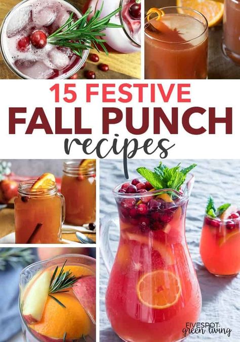 fall punch recipes Punch Recipes Halloween, Halloween Drinks Alcohol Cocktails, Wedding Punch Recipes, Fall Punch Recipes, Fall Punch, Nonalcoholic Drink, Autumn Drinks, Brunch Punch, Fall Drink Recipes