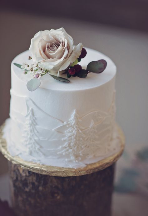 Simple Mountain Wedding Cake, Simple Rustic Wedding Cake, Winter Wedding Rustic, Mountain Wedding Cake, Small Winter Wedding, Simple Rustic Wedding, Mountain Cake, Winter Mountain Wedding, Rainy Summer