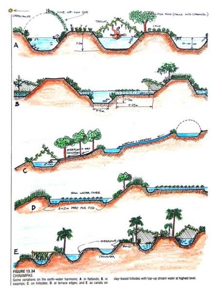 water harvest Plan Potager Permaculture, Floating Gardens, Water Catchment, Water From Air, Piscina Natural, Permaculture Design, Permaculture Gardening, Water Collection, Rainwater Harvesting