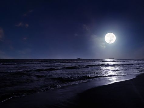 Beach night scene with moonlight Premium... | Premium Photo #Freepik #photo #background #tree #water #summer Night Sky Beach, Night Ocean, Background Tree, Clear Night Sky, Dark Beach, Dark Ocean, Moon Beach, Palermo Italy, Ocean At Night