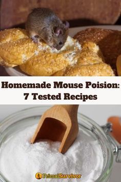 Natural Mouse Poison, Homemade Rat Poison, Diy Mice Repellent, Killing Mice, Mouse Trap Diy, Mouse Deterrent, Mouse Poison, Repellent Diy, Mouse Bait