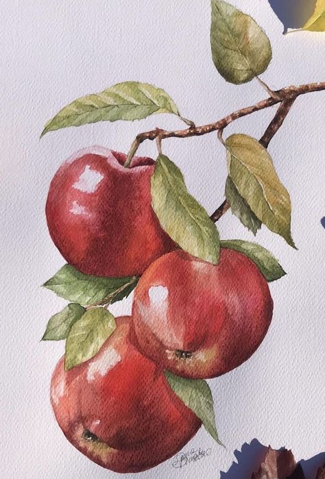 Drawings Of Fruits And Vegetables, Apple Painting Watercolour, Watercolour Food Painting, Watercolor Paintings Fruit, Fruits Watercolor Painting, Watercolor Fruit Paintings, Watercolor Art Fruit, Apple Watercolor Painting, Watercolour Apple