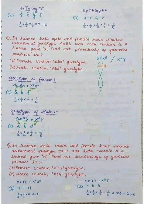 Genotype of female and genotype of male Principal Of Inheritance And Variation, Hand Written Notes, Written Notes, Biology Facts, Neet Exam, Study Flashcards, Chemistry Teacher, Biology Notes, English Verbs