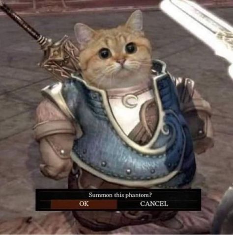 Dark Souls Wallpaper, Beautiful Kittens, Dark Souls Art, Cat Icon, Bloodborne, Soul Art, Silly Animals, Funny Cat Memes, Silly Cats