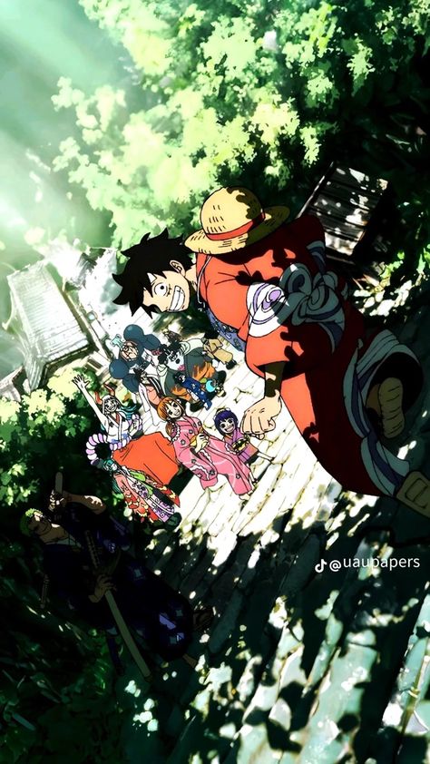 Anime Wallpapers Aesthetic, One Piece Theme, Streaming Anime, One Piece World, One Piece Photos, 1080p Anime Wallpaper, One Piece Wallpaper Iphone, Pfp Anime, Cool Anime Backgrounds