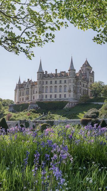 Jessie Charleston on Instagram: "Dunrobin Castle, Scotland 🏰 Oh hello! This is my first post after a rather unintentional offline escapade. It’s been the most beautiful, introspective year for me, but I am happy to be back. I’ve been a busy bee 🐝 and have so many stories to share! Here is a glimpse of a moment from our Scotland trip in May that feels like a dream or a scene from a fairytale realm. We had the most magical time adventuring around the highlands. 📍Dunrobin Castle, Golspie, Scot Castle In Europe, England Castle Aesthetic, Castles Asthetics, Beautiful Castles Fairytale, Father Wallpaper, Pretty Castles, Castles Aesthetic, Fairytale Palace, Midevil Castle