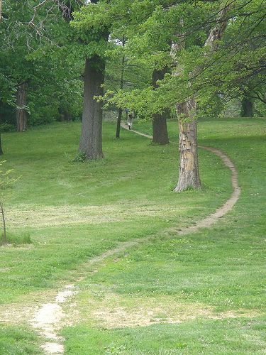 Forest Park - St. Louis, Missouri- desire lines, desire paths, elephant paths Desire Paths Aesthetic, Desired Path, Desire Paths, Graphic Design University, Landscape Design Plans, Forest Path, Green City, Parks N Rec, Visual Media