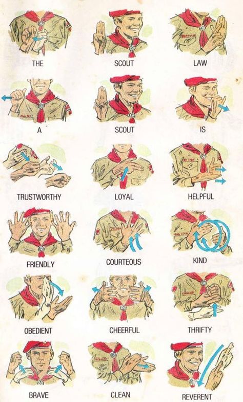 Asl Worksheets, Cub Scout Law, Scouts Activities, Boy Scout Activities, Cub Scouts Wolf, Scout Law, Boy Scouts Eagle, Cub Scouts Bear, Tiger Scouts