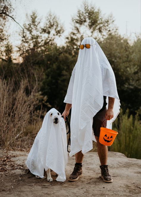 Halloween photoshoot with your dog in a ghost costume | California Ghost Family Photoshoot With Dog, Dog Ghost Photoshoot, Dog Halloween Photoshoot, Fun Ghost Photoshoot, Halloween Dog Photoshoot, Dog Ghost Costume Photoshoot, Halloween Ghost Photoshoot, Diy Ghost Costume For Dog, Ghost Costume For Dog