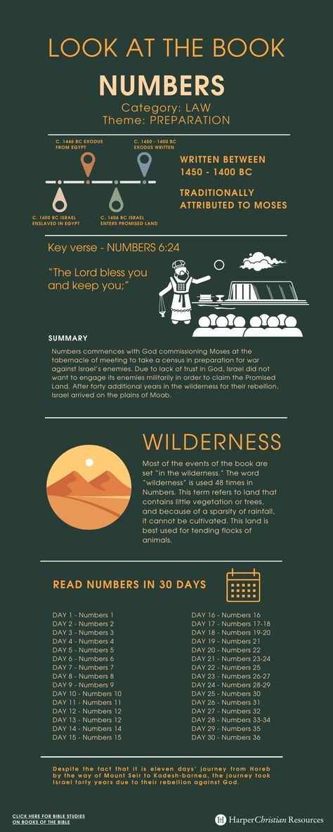 Look at the Book: Numbers [Infographic] | Bible Gateway News & Knowledge Book Of Numbers Bible Study, Numbers Bible Study, Numbers Bible, Bible Infographics, Biblical Numbers, Numbers Infographic, Bible Summary, Book Infographic, Book Of Numbers