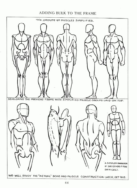 Andrew Loomis - Figure Drawing for All Its Worth Loomis Method Body Drawing, Loomis Mannequin, Andrew Loomis Figure Drawing, Figure Drawing Tutorial, Andrew Loomis, Male Figure Drawing, Drawing Legs, Stick Figure Drawing, Human Anatomy Drawing