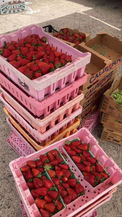 Summer Baking Aesthetic, Red Summer Aesthetic, Summer Fruit Aesthetic, Brutal Prince, Strawberries Aesthetic, Spring Summer Aesthetic, Sophie Lark, Strawberry Aesthetic, Strawberry Girl