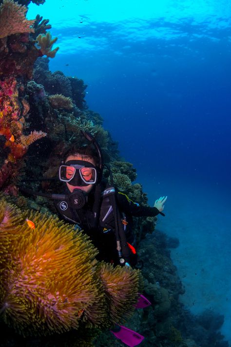 Great Barrier Reef Australia Snorkeling, Scuba Diving Great Barrier Reef, Coral Reef Snorkeling, Snorkeling Great Barrier Reef, Great Barrier Reef Australia Aesthetic, Coral Reef Diving, Great Barrier Reef Aesthetic, Australia Snorkeling, Coral Reef Biome