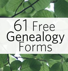 Family Tree Forms, Free Genealogy Sites, Family History Projects, Genealogy Organization, Genealogy Help, Family Tree Research, Genealogy Websites, Ancestry Family Tree, Genealogy Forms