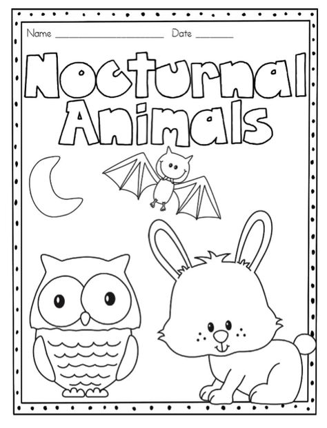 nocturnal animals Nocturnal Animals Anchor Chart, Nocturnal Animal Coloring Pages, Nocturnal Animals Kindergarten Free, Woodland Animals Lesson Plan, Nocturnal Animals Preschool Worksheets, Night Time Animals Preschool, Nocturnal And Diurnal Animal Activities, Kindergarten Nocturnal Animals, Nocturnal Animals Preschool Math