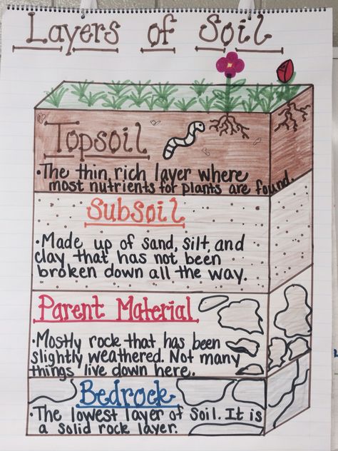 Layers of Soil Anchor Chart Elementary Anchor Charts, Science Activities For Elementary, Layers Of Soil, Elementary Earth Science, Earth Science Projects, Aesthetic Earth, Grade 3 Science, Earth Science Activities, Science Aesthetic