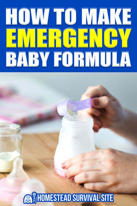 Baby Formula Recipes, Best Baby Formula, Preterm Baby, Homestead Lifestyle, Survival Foods, Formula Recipes, Random Tips, Ayurvedic Healing, Food Stamps