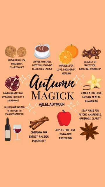 Drinks For Mabon, Mabon Spells And Rituals, Autumn Magic Witch, Witchy Thanksgiving, Mabon Food, Mabon Feast, Autumn Witchcraft, Mabon Recipes, Witchy Activities