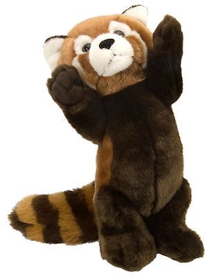 Standing Red Panda 12 Red Panda Plush, Red Panda Baby, Panda Plush, Red Pandas, Kawaii Plushies, Pets For Sale, Cute Stuffed Animals, Red Panda, Cute Toys