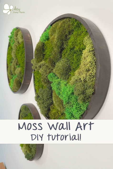 Get creative and add a unique touch of nature to your home decor with this easy-to-follow moss wall art DIY tutorial! With detailed step-by-step instructions, you can create your own moss wall with ease. Start your moss wall art project today! #naturedecor #plantideas #plantdecor #DIYplanterideas #biophilic #naturecrafts #artsyprettyplants Diy Moss Wall Art, Live Moss Wall, Diy Moss Wall, Mos Wand, Moss Gardens, Diy Moss, Moss Decor, Moss Wall Art, Moss Garden