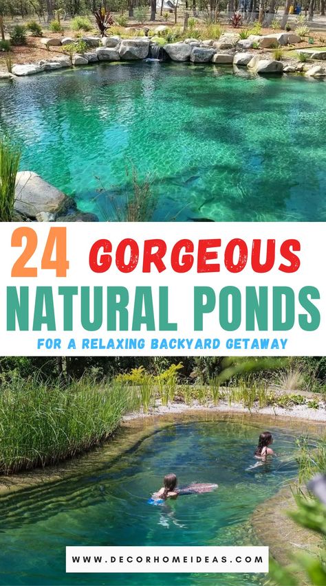 Best Natural Swimming Ponds Ideas Living Pool Pond, All Natural Swimming Pool, Natural Pool Ideas Swimming Ponds, Natural Pond Pool Backyards, Small Swimming Ponds Backyard, Nature Pools Backyard, Natural Swim Ponds, Swim Ponds Backyard, Pond Pools Backyard Diy